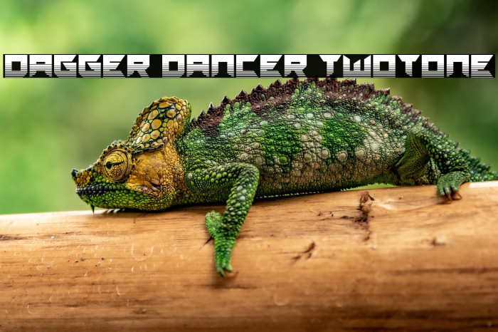 Dagger Dancer Twotone Example 3