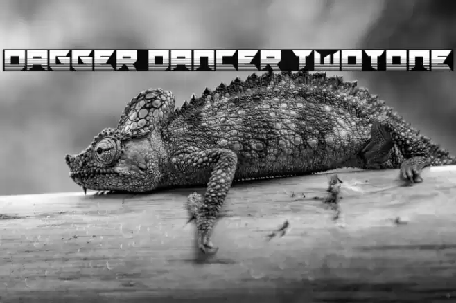 Dagger Dancer Twotone Caratteri examples