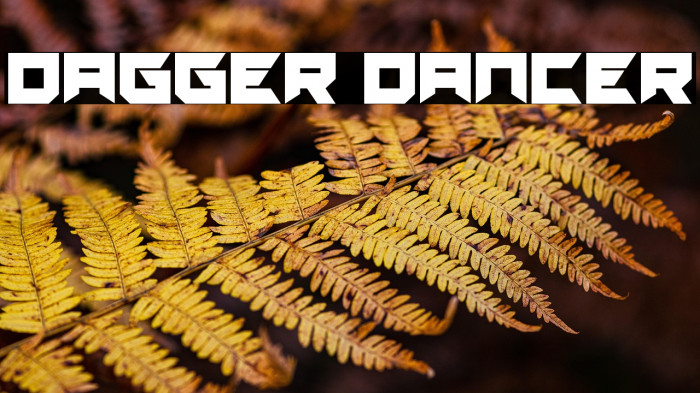 Dagger Dancer Example 3