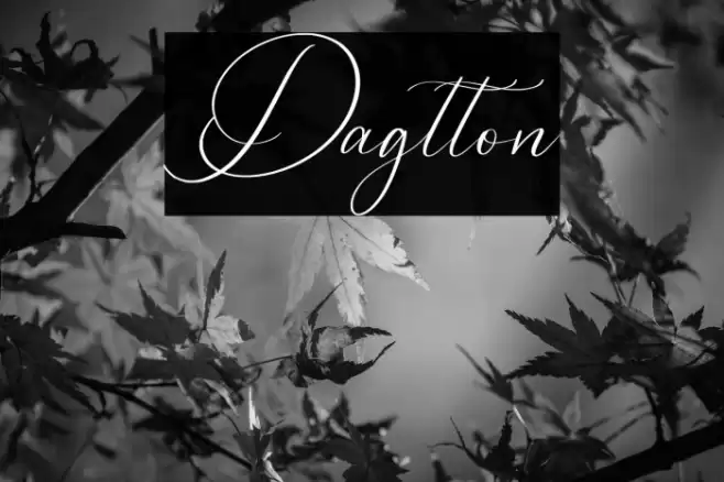 Dagtton Font examples