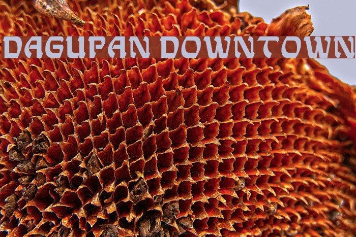 Dagupan Downtown Font examples