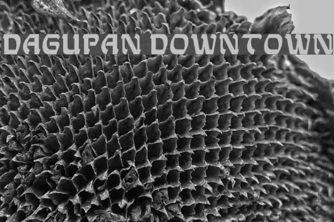 Dagupan Downtown Example 3