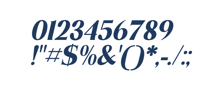 Dahlia Regictik Italic Other Characters