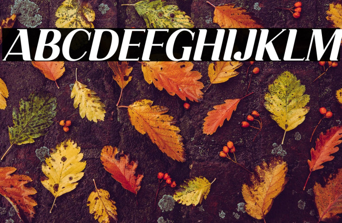 Dahlia Regictik Italic Example 2