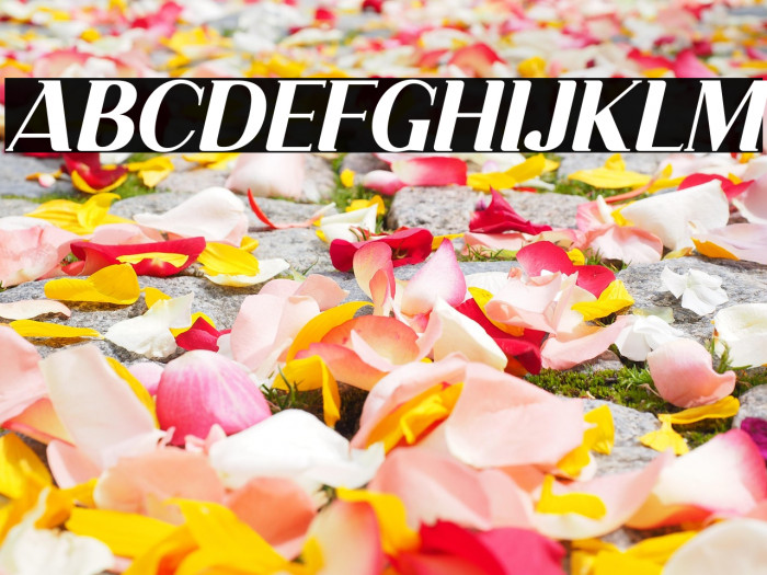 Dahlia Regictik Italic Example 3