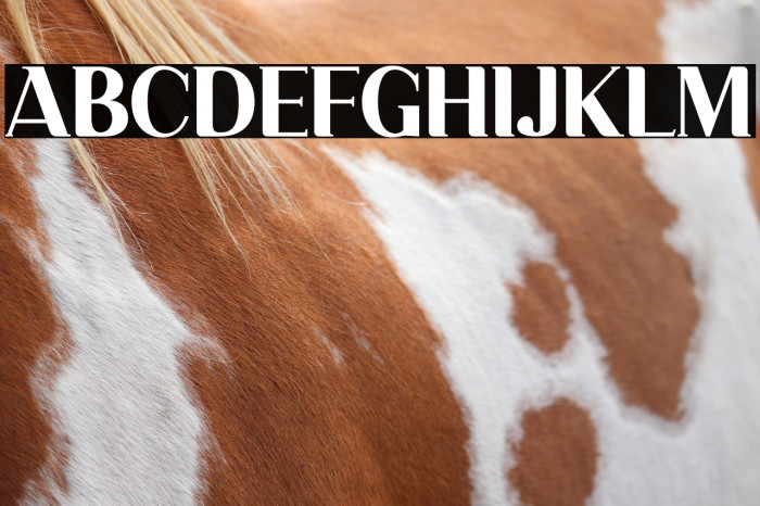 Dahlia Regictik Example 2