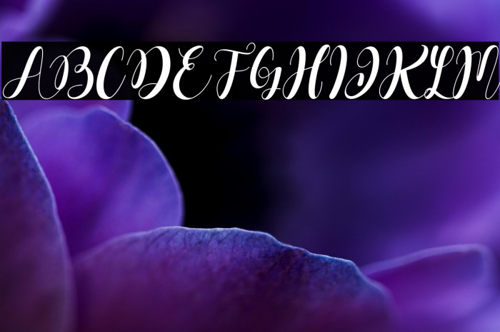 Dahllia Claire Italic Example 2