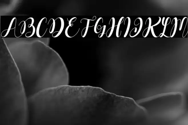 Dahllia Claire Italic Font examples