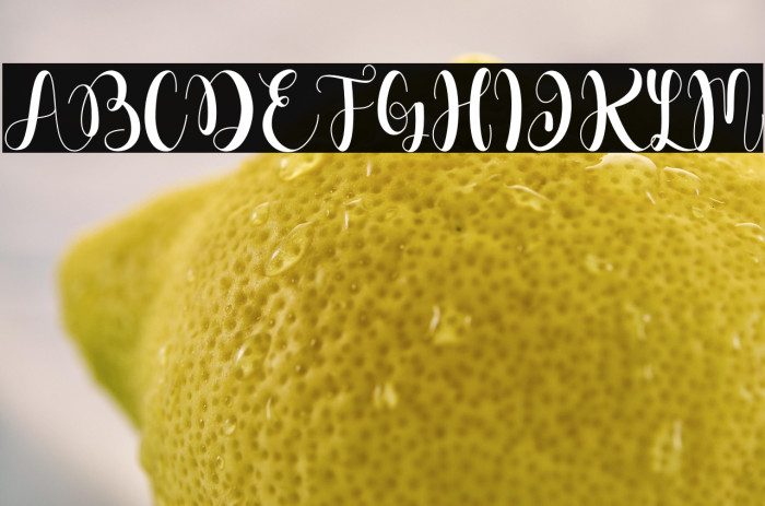 Dahllia Claire Example 1