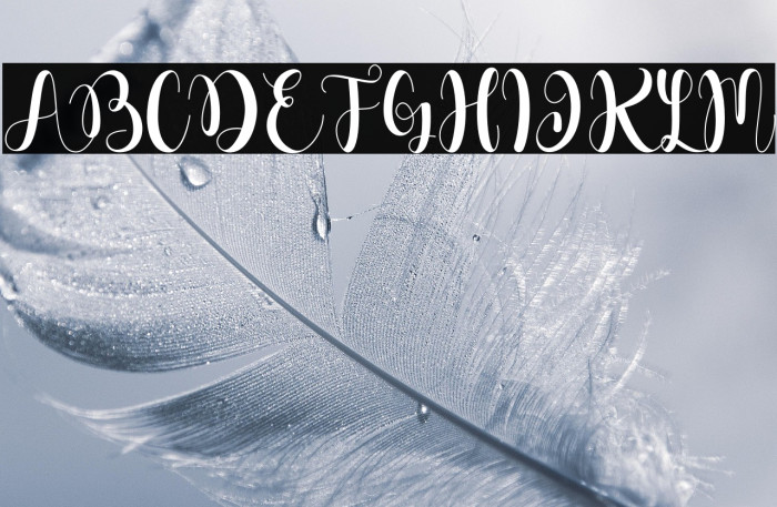 Dahllia Claire Example 3