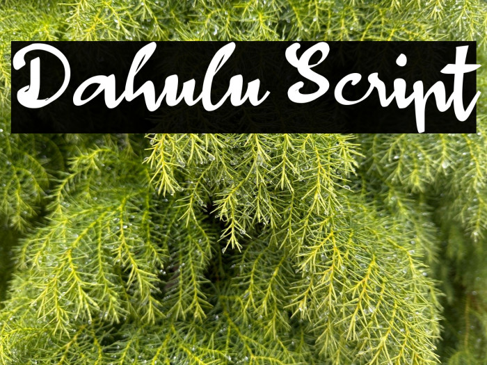 Dahulu Script Example 3