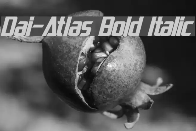 Dai-Atlas Bold Italic Font examples