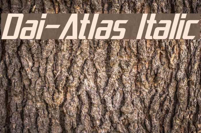 Dai-Atlas Italic Example 2