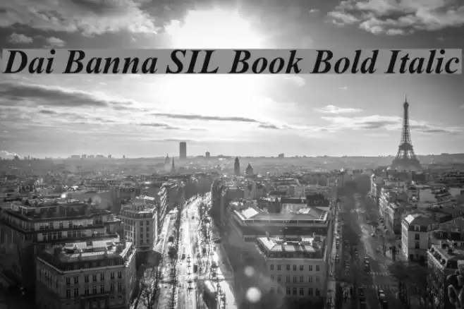Dai Banna SIL Book Bold Italic Font examples
