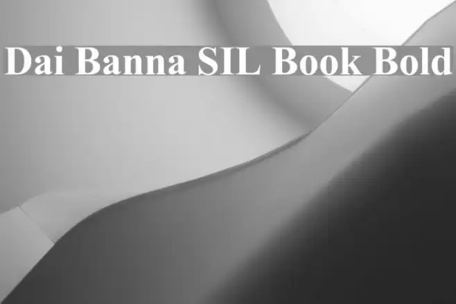 Dai Banna SIL Book Bold Font examples