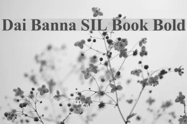 Dai Banna SIL Book Bold Font examples