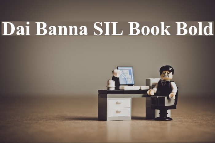 Dai Banna SIL Book Bold Font examples