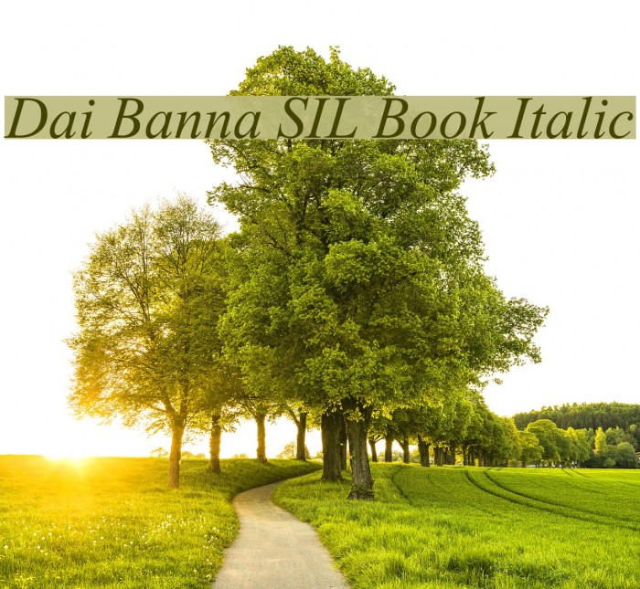 Dai Banna SIL Book Italic Font examples