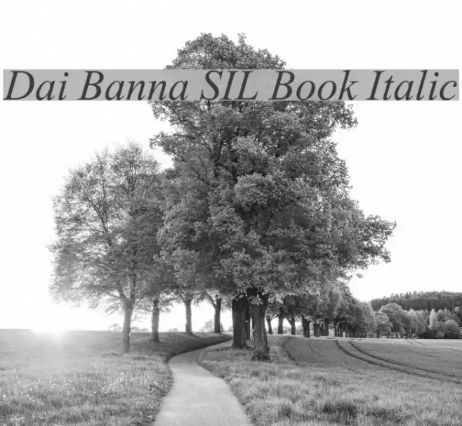 Dai Banna SIL Book Italic  examples