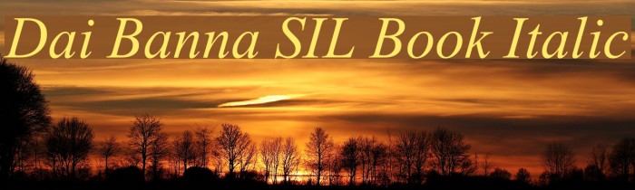 Dai Banna SIL Book Italic Font examples