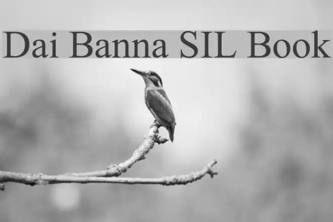 Dai Banna SIL Book Font examples