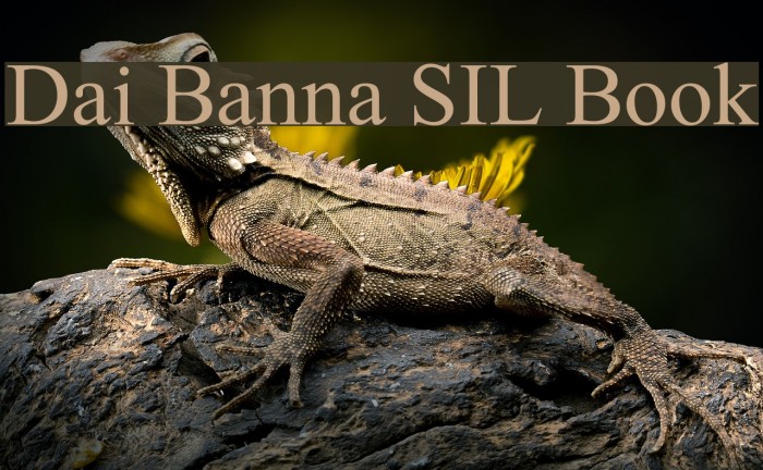 Dai Banna SIL Book Font examples