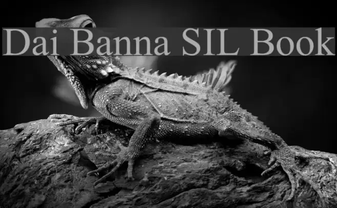 Dai Banna SIL Book Font examples