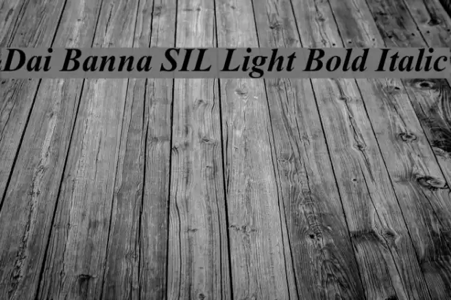 Dai Banna SIL Light Bold Italic Font examples