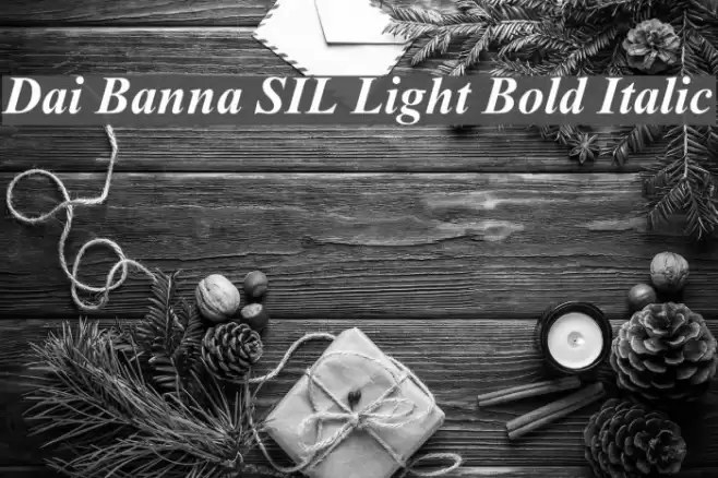 Dai Banna SIL Light Bold Italic Font examples