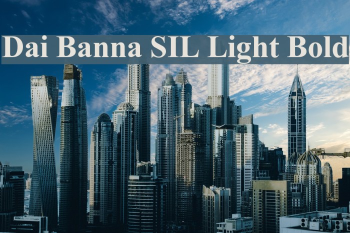 Dai Banna SIL Light Bold Font examples