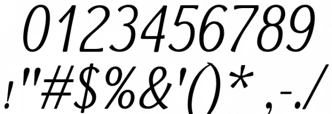 Dai Banna SIL Light Italic Font OTHER CHARS