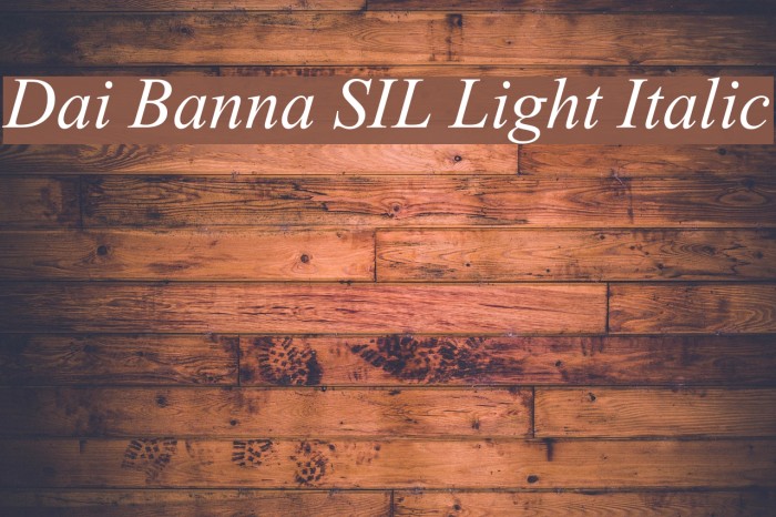 Dai Banna SIL Light Italic Font examples