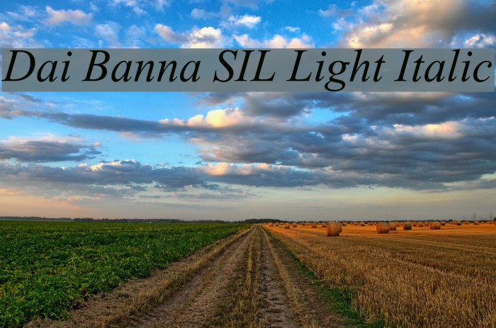 Dai Banna SIL Light Italic Font examples