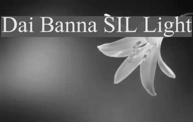 Dai Banna SIL Light Font examples