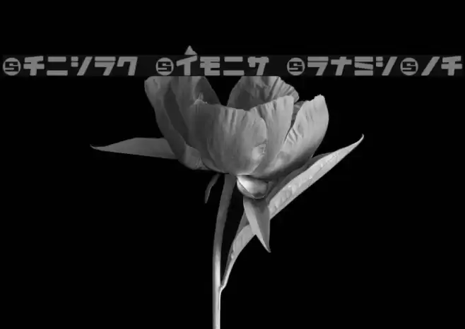 Daidoh Remix RoundJka Font examples