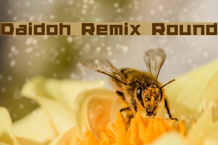 Daidoh Remix Round Font examples
