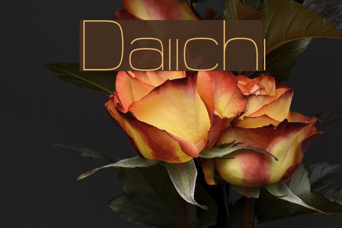 Daiichi Font examples