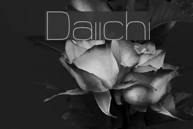 Daiichi Font examples