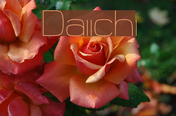 Daiichi Font examples