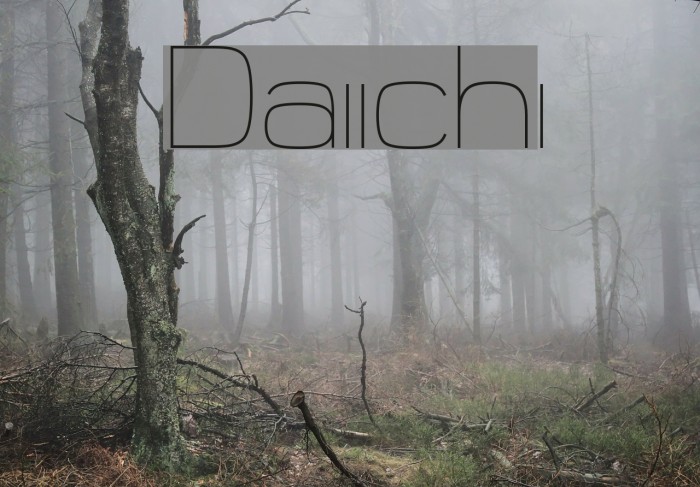 Daiichi Font examples