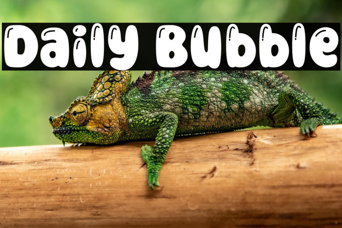 Daily Bubble Example 2