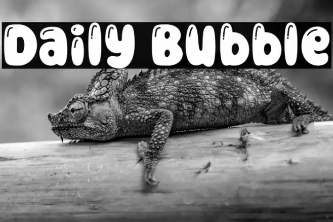 Daily Bubble Font examples