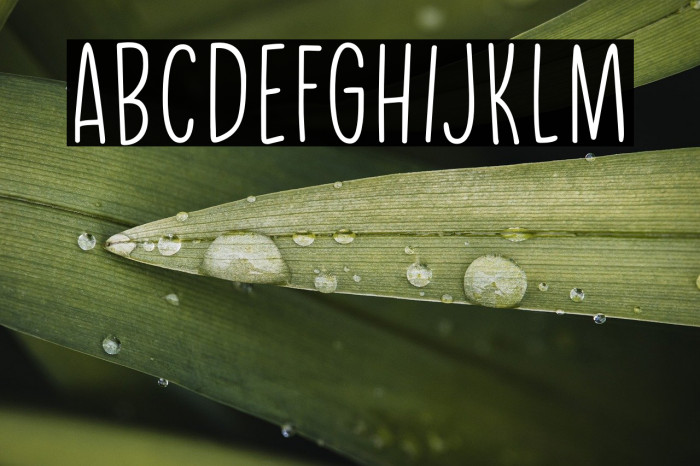 Daily Challenge DEMO Regular Example 1