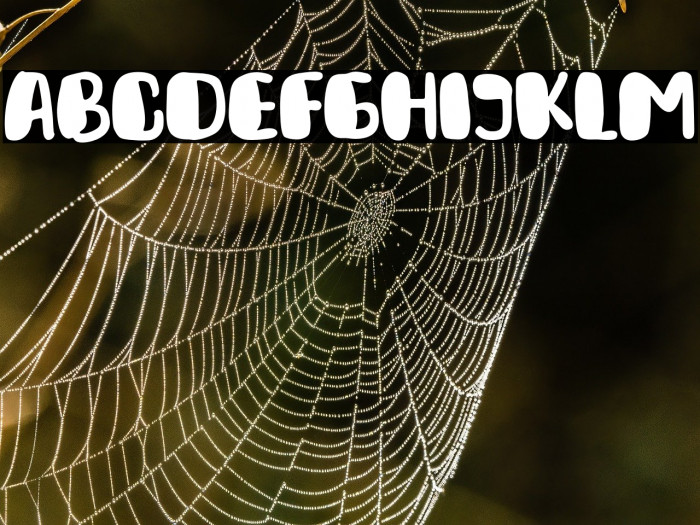 Daily Croquete Example 2