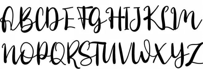 Daily Danissa Fuentes MAYÚSCULAS