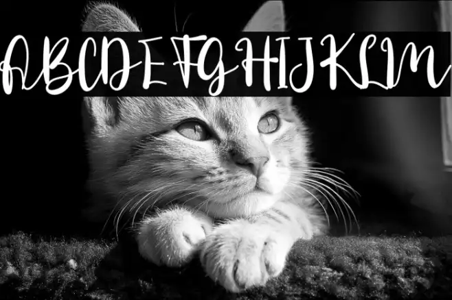 Daily Danissa Example 1