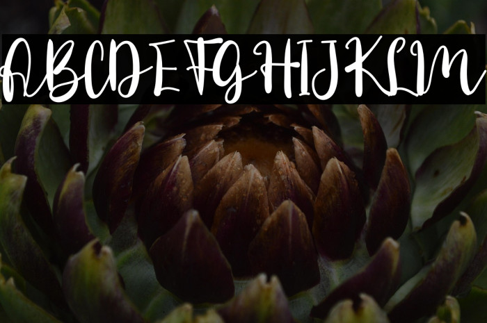 Daily Danissa Example 3