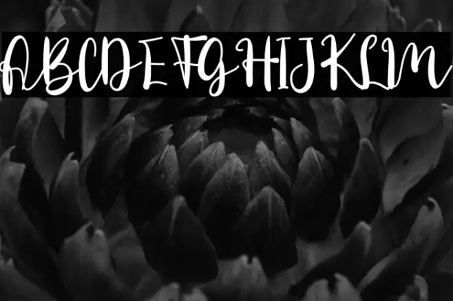 Daily Danissa Example 3