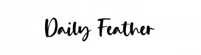 Daily Feather  baixar fontes gratis