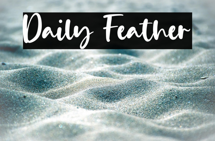 Daily Feather Example 1